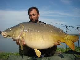 peste mare - fxgnr.jpg